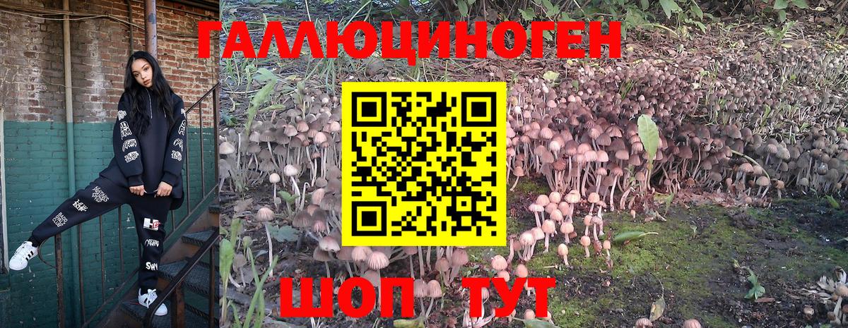 Каспийск  Галлюциногенные грибы MAGIC MUSHROOMS  Вход с VPN  Псилоцибиновые грибы Psilocybine cubensis 