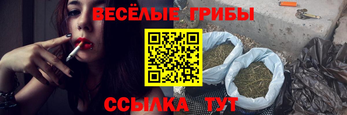 Псилоцибиновые грибы MAGIC MUSHROOMS Каспийск