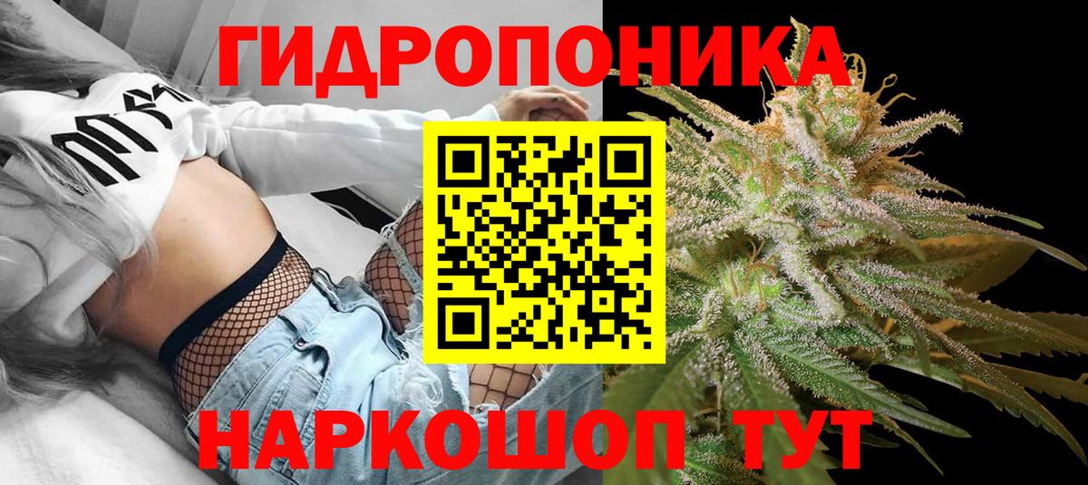 Конопля Ganja  Марихуана планчик  Бошки Шишки White Widow  Вход с VPN  Каспийск 